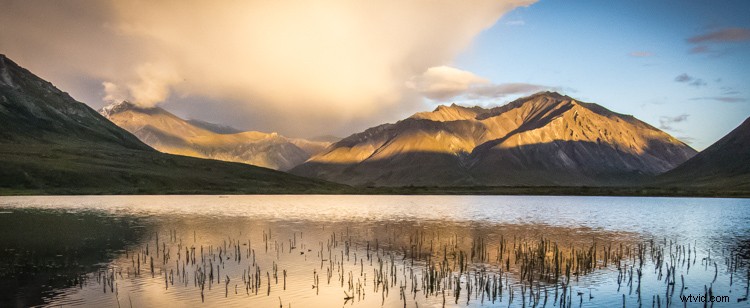 Cull Your Photos Like a Pro: 5 Essential Steps Before Hitting Delete