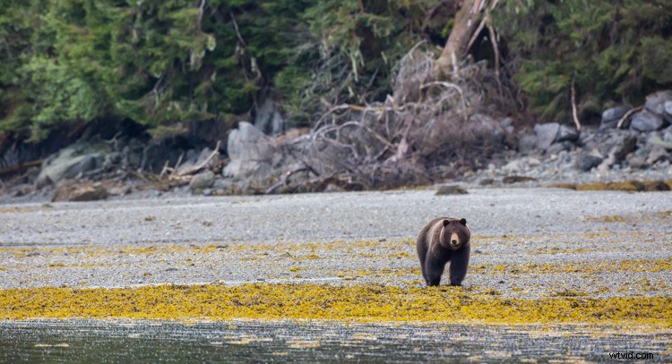 Cull Your Photos Like a Pro: 5 Essential Steps Before Hitting Delete