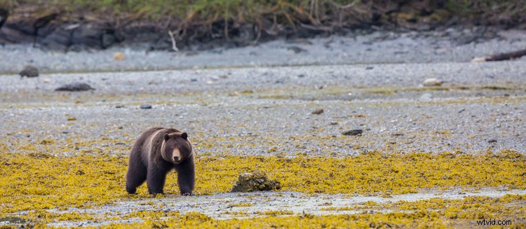 Cull Your Photos Like a Pro: 5 Essential Steps Before Hitting Delete