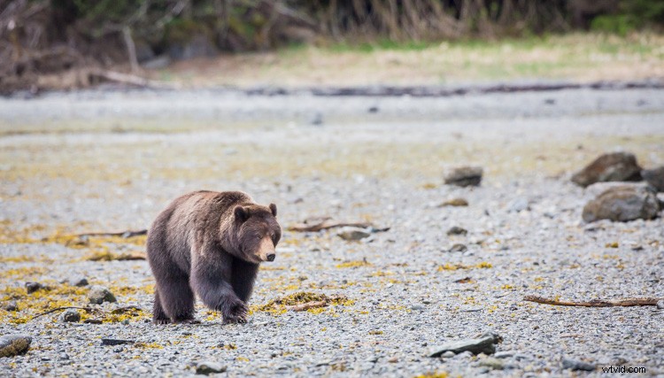 Cull Your Photos Like a Pro: 5 Essential Steps Before Hitting Delete