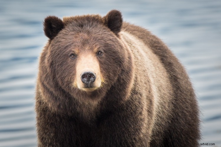 Cull Your Photos Like a Pro: 5 Essential Steps Before Hitting Delete