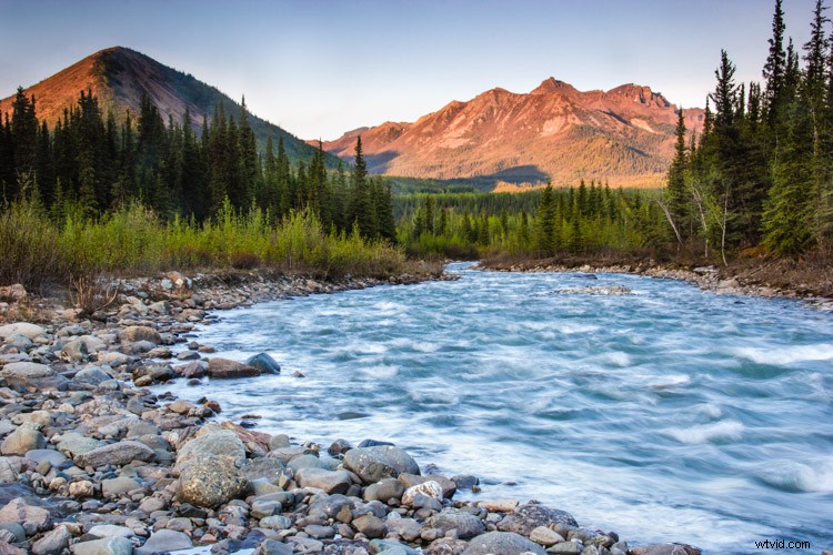 Cull Your Photos Like a Pro: 5 Essential Steps Before Hitting Delete