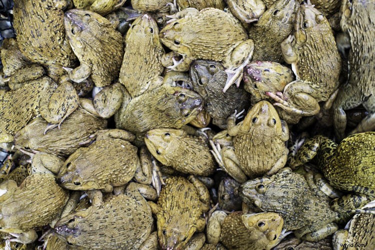 How to Capture a Compelling Photo Essay: Pro Tips from Chiang Mai s Fresh Market