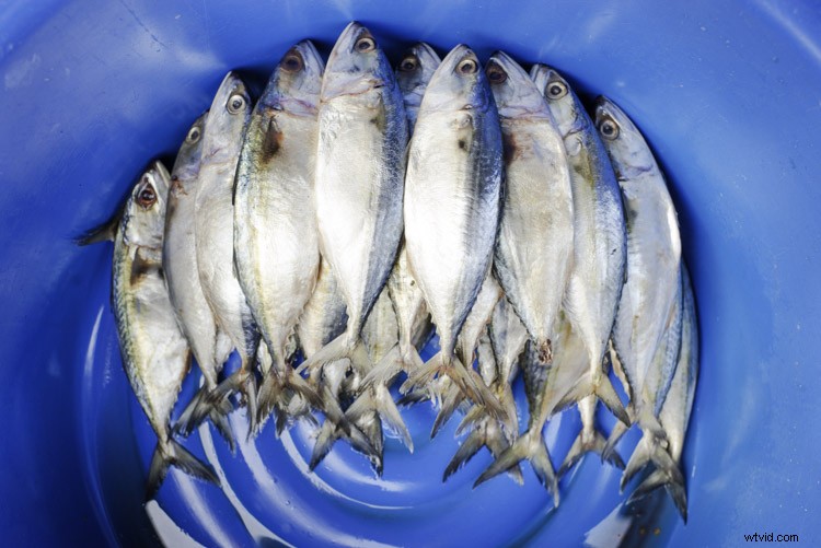 How to Capture a Compelling Photo Essay: Pro Tips from Chiang Mai s Fresh Market