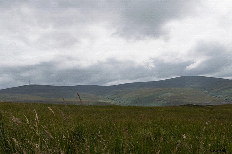 3 Essential Reasons to Master Layers in Photoshop