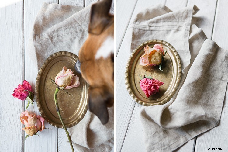 6 Proven Tips for Maximum Productivity on Every Photo Shoot