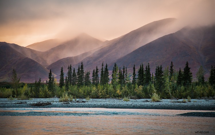 Master White Balance: Unlock Creative Power in Your Photography