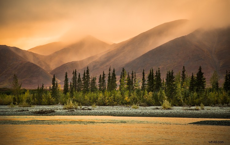 Master White Balance: Unlock Creative Power in Your Photography