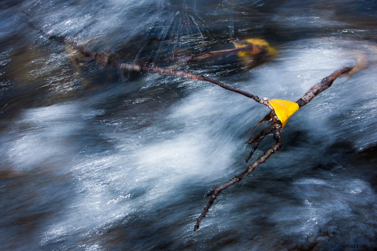 Master White Balance: Unlock Creative Power in Your Photography