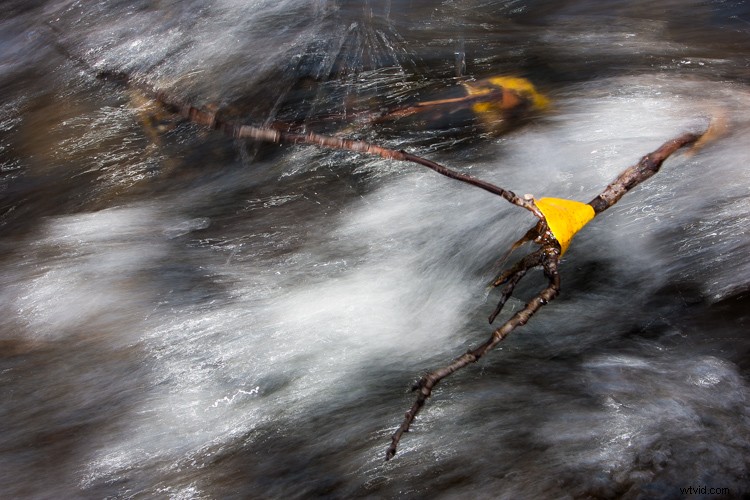 Master White Balance: Unlock Creative Power in Your Photography