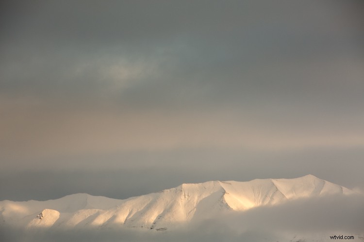 Master White Balance: Unlock Creative Power in Your Photography