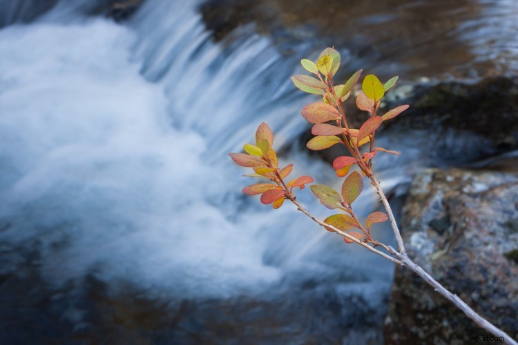 Master White Balance: Unlock Creative Power in Your Photography