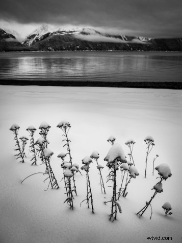 Master White Balance: Unlock Creative Power in Your Photography