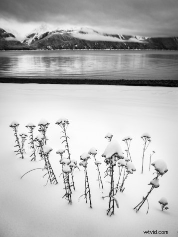 Master White Balance: Unlock Creative Power in Your Photography