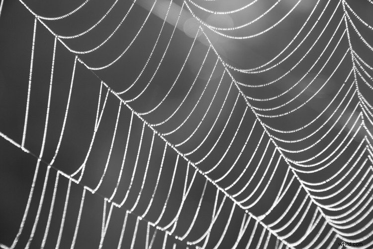 Master White Balance: Unlock Creative Power in Your Photography