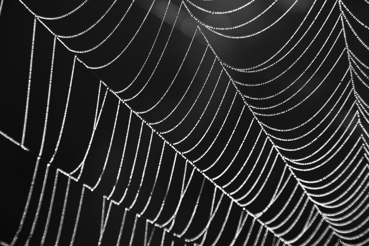 Master White Balance: Unlock Creative Power in Your Photography