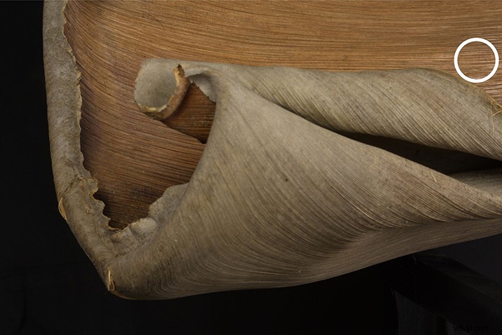 Expert Guide: Post-Processing Focus Stacked Images in Lightroom & Photoshop