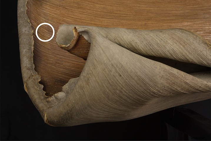 Expert Guide: Post-Processing Focus Stacked Images in Lightroom & Photoshop