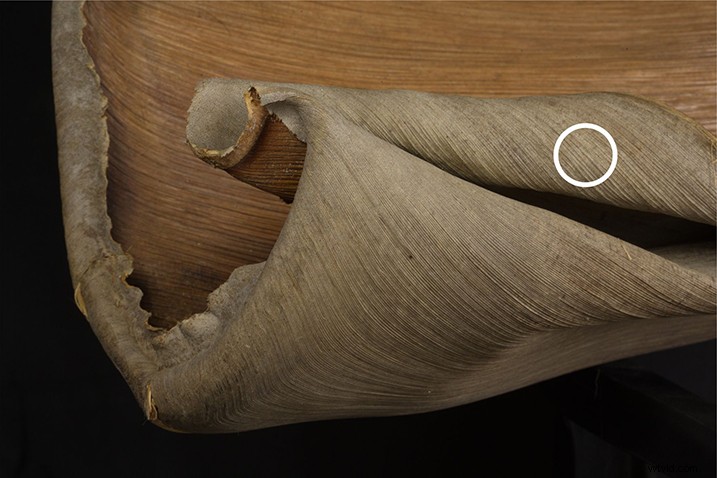 Expert Guide: Post-Processing Focus Stacked Images in Lightroom & Photoshop