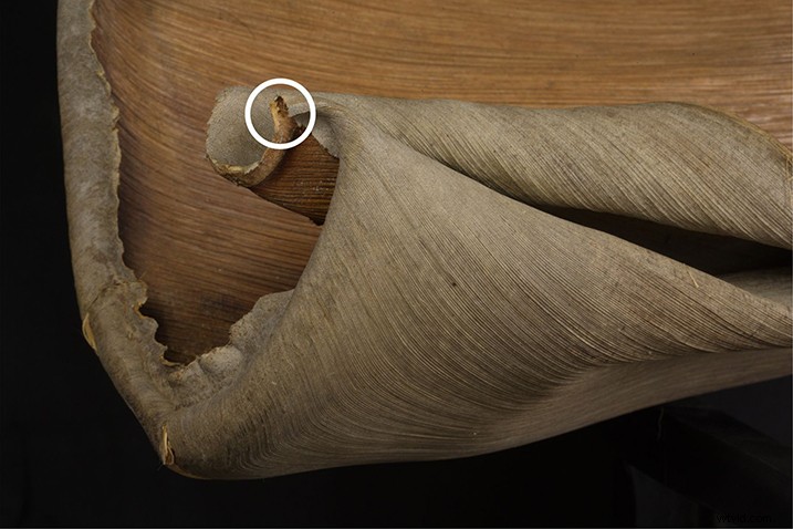 Expert Guide: Post-Processing Focus Stacked Images in Lightroom & Photoshop