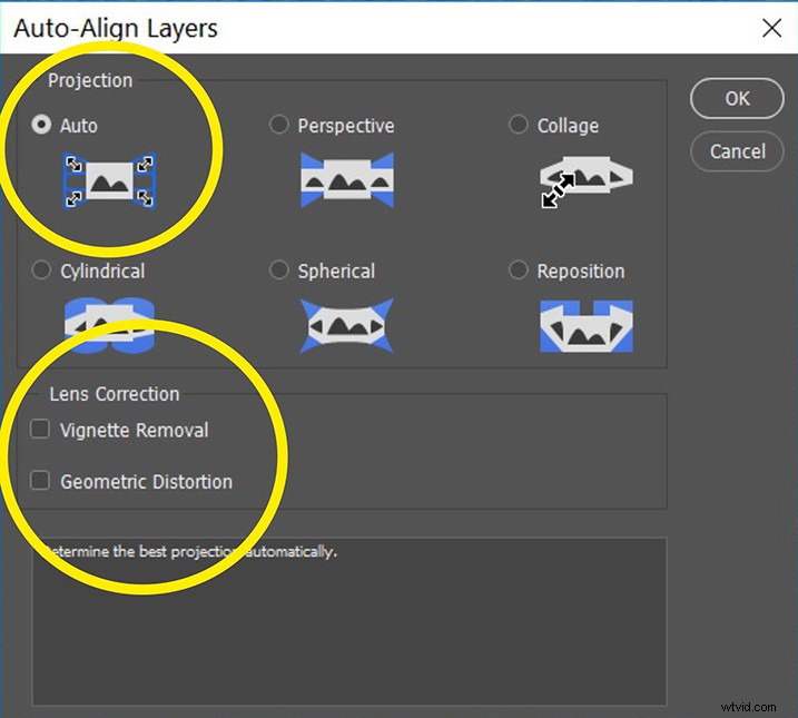 Expert Guide: Post-Processing Focus Stacked Images in Lightroom & Photoshop