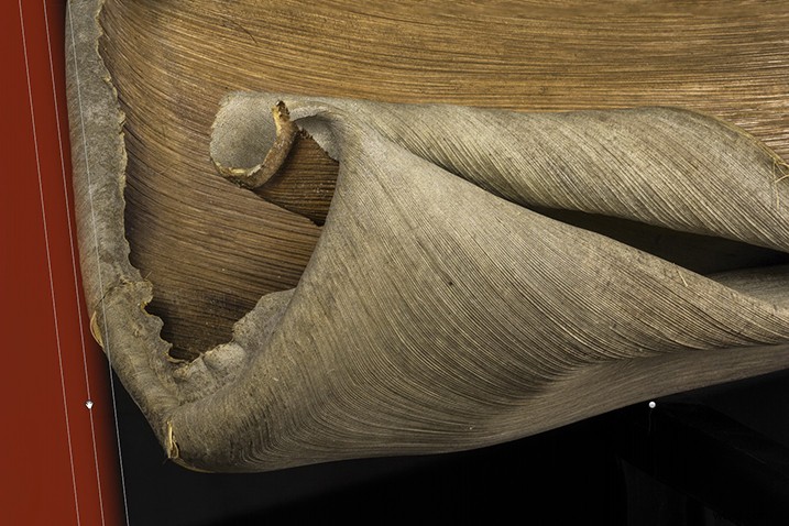 Expert Guide: Post-Processing Focus Stacked Images in Lightroom & Photoshop