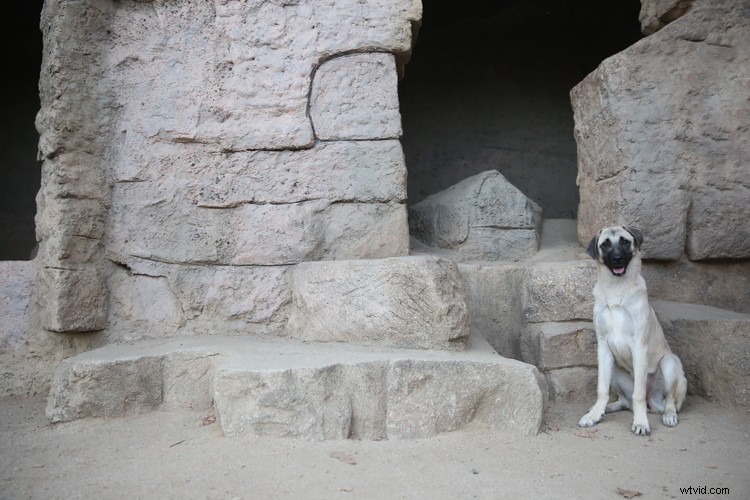 Expert Guide: How to Seamlessly Merge and Combine Images in Photoshop