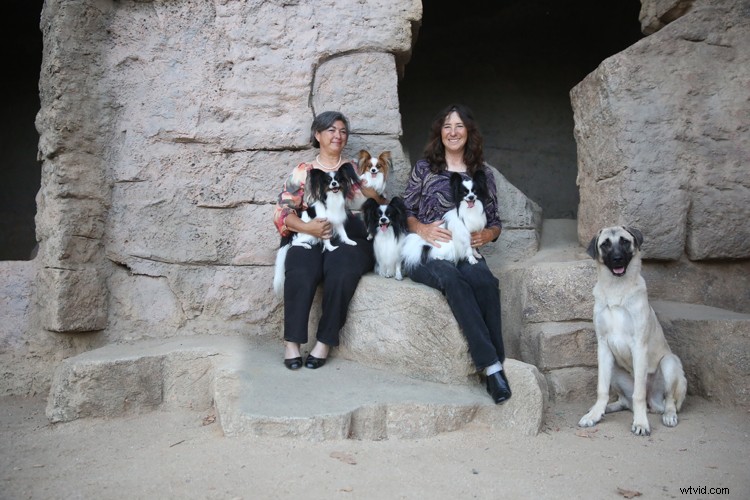 Expert Guide: How to Seamlessly Merge and Combine Images in Photoshop