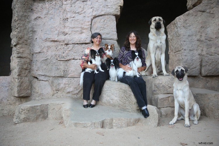 Expert Guide: How to Seamlessly Merge and Combine Images in Photoshop