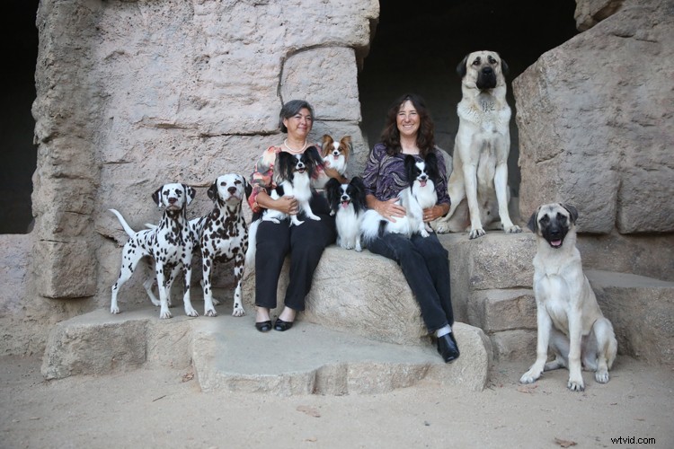 Expert Guide: How to Seamlessly Merge and Combine Images in Photoshop