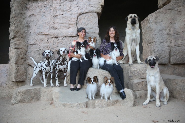 Expert Guide: How to Seamlessly Merge and Combine Images in Photoshop