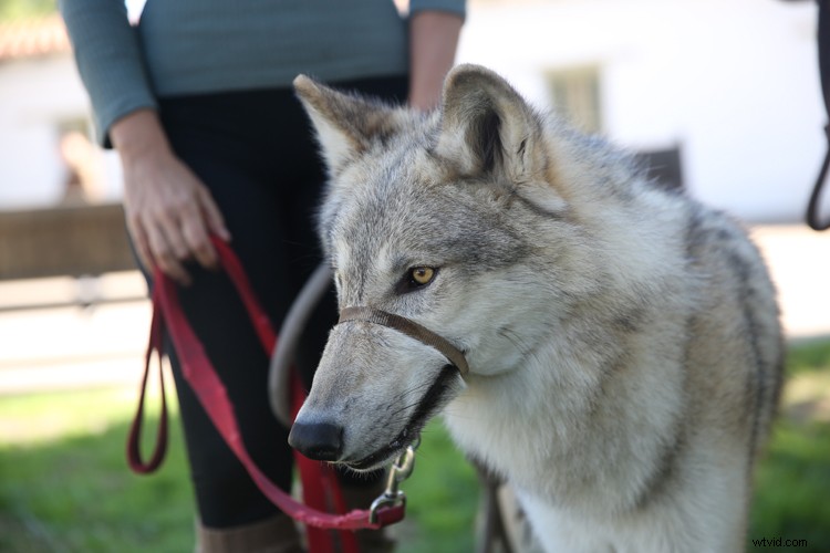 Expert Guide: How to Seamlessly Merge and Combine Images in Photoshop