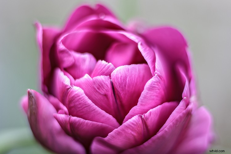 Dude, Be Nice: Mastering Constructive Criticism to Build Others Up