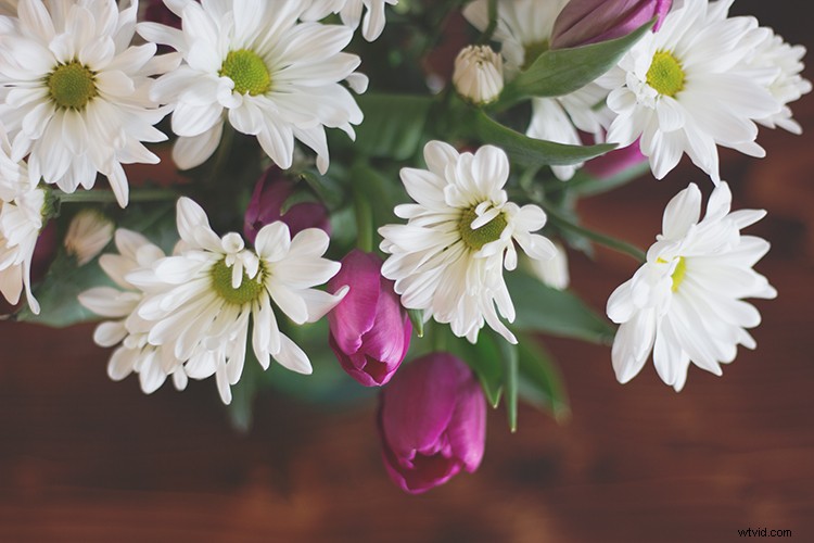 Dude, Be Nice: Mastering Constructive Criticism to Build Others Up