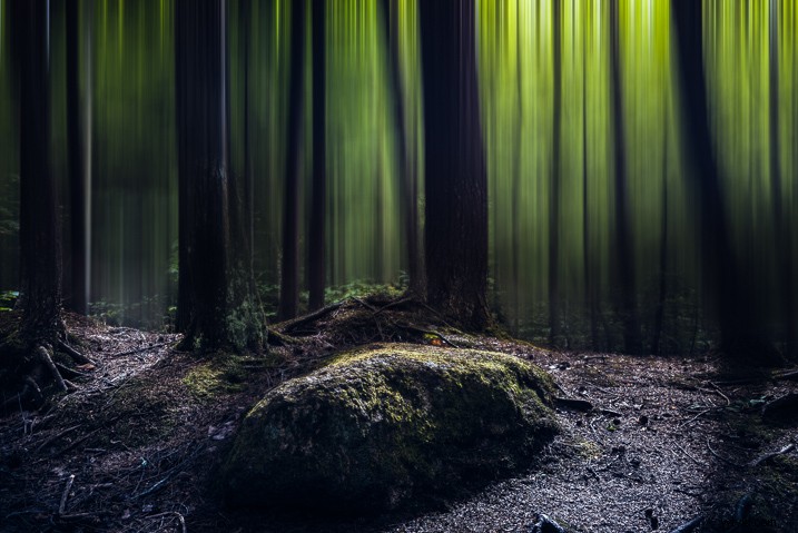 Create a Magical Dream Forest in Adobe Photoshop: Expert Step-by-Step Tutorial