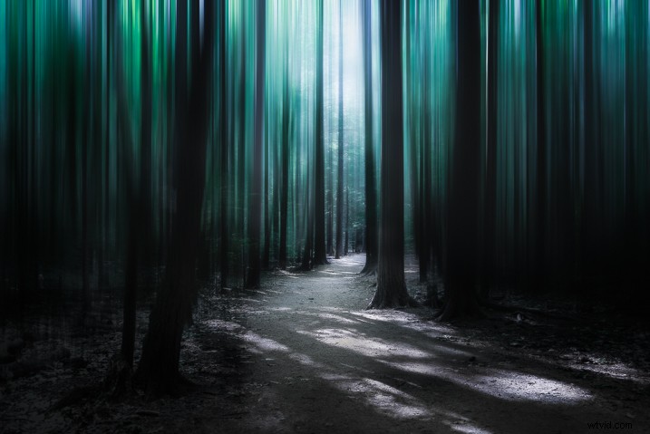 Create a Magical Dream Forest in Adobe Photoshop: Expert Step-by-Step Tutorial