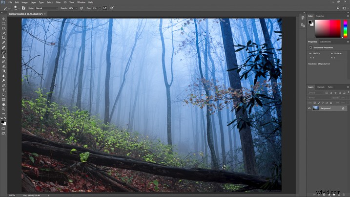 Create a Magical Dream Forest in Adobe Photoshop: Expert Step-by-Step Tutorial