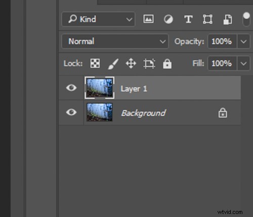 Create a Magical Dream Forest in Adobe Photoshop: Expert Step-by-Step Tutorial