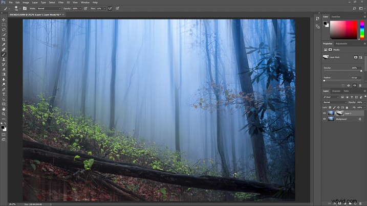 Create a Magical Dream Forest in Adobe Photoshop: Expert Step-by-Step Tutorial