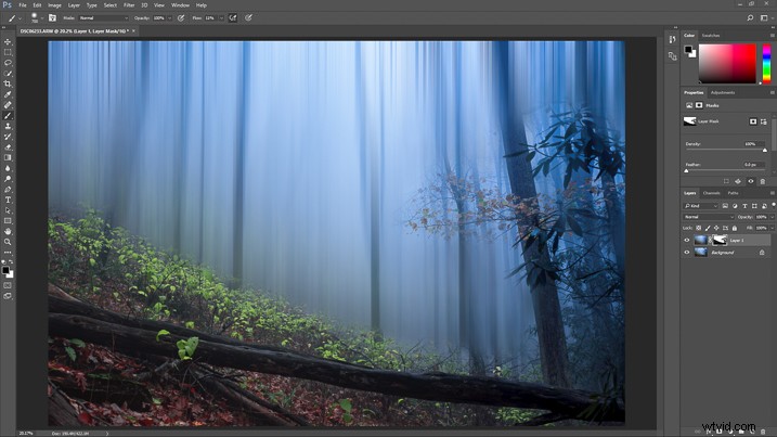 Create a Magical Dream Forest in Adobe Photoshop: Expert Step-by-Step Tutorial