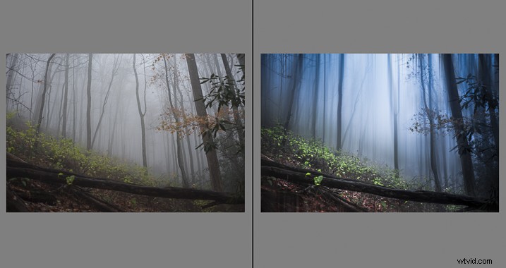 Create a Magical Dream Forest in Adobe Photoshop: Expert Step-by-Step Tutorial