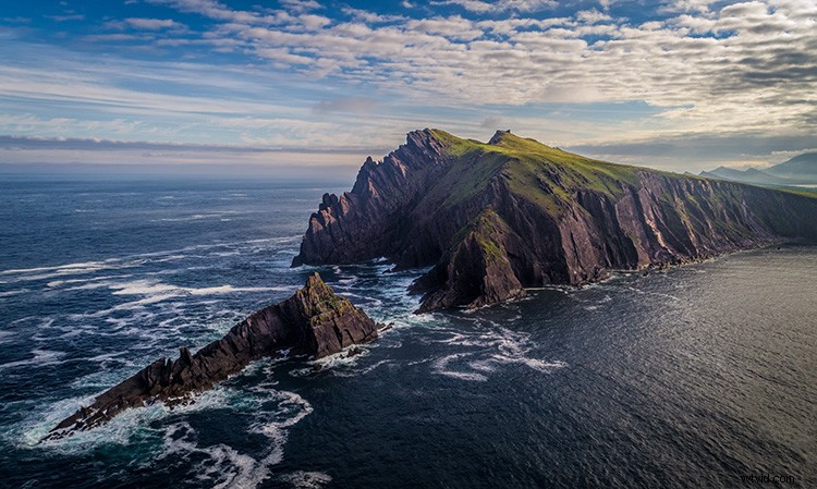 RAW + JPEG: The Ultimate Balance of Flexibility and Convenience for Photographers