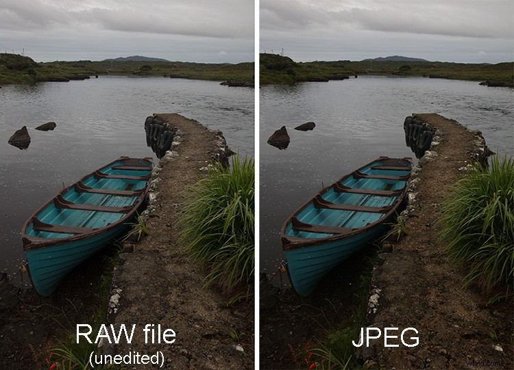 RAW + JPEG: The Ultimate Balance of Flexibility and Convenience for Photographers
