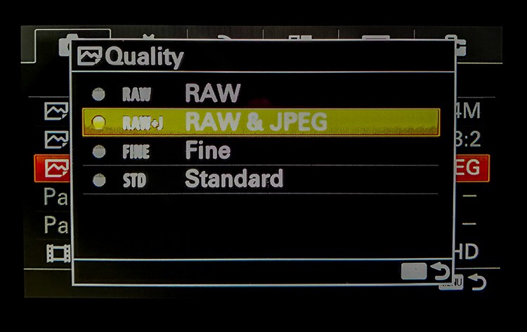 RAW + JPEG: The Ultimate Balance of Flexibility and Convenience for Photographers