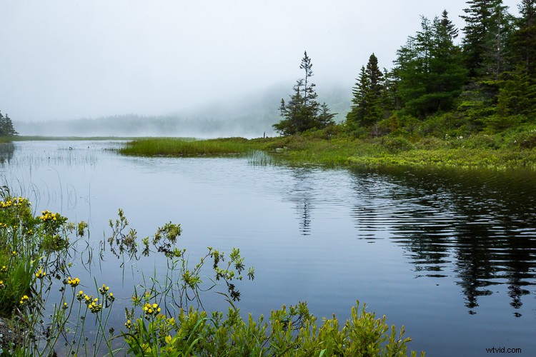 Expert Tips for Overcoming 4 Tricky Photography Challenges: What Would You Do?