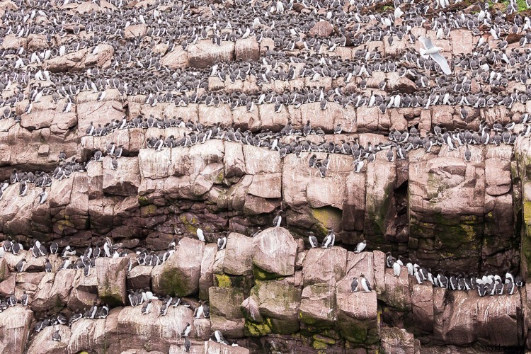 Expert Tips for Overcoming 4 Tricky Photography Challenges: What Would You Do?