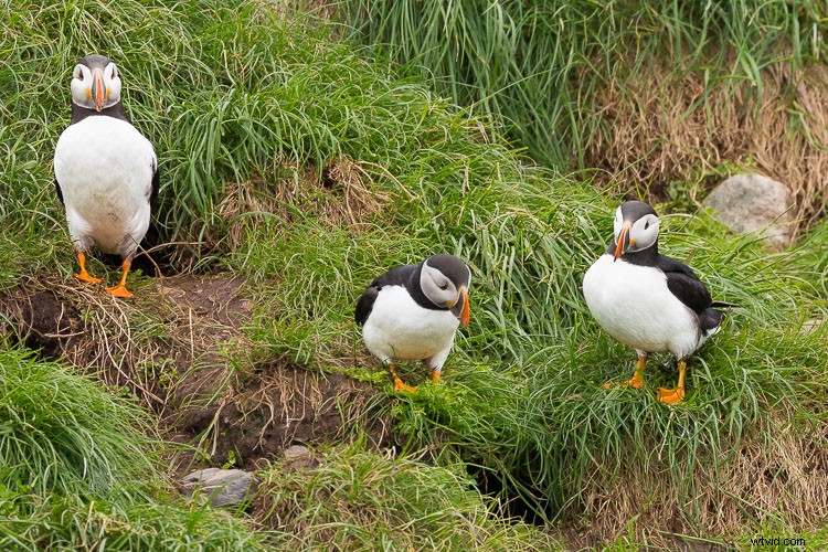 Expert Tips for Overcoming 4 Tricky Photography Challenges: What Would You Do?