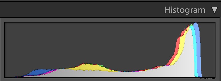 Expert Tips for Overcoming 4 Tricky Photography Challenges: What Would You Do?