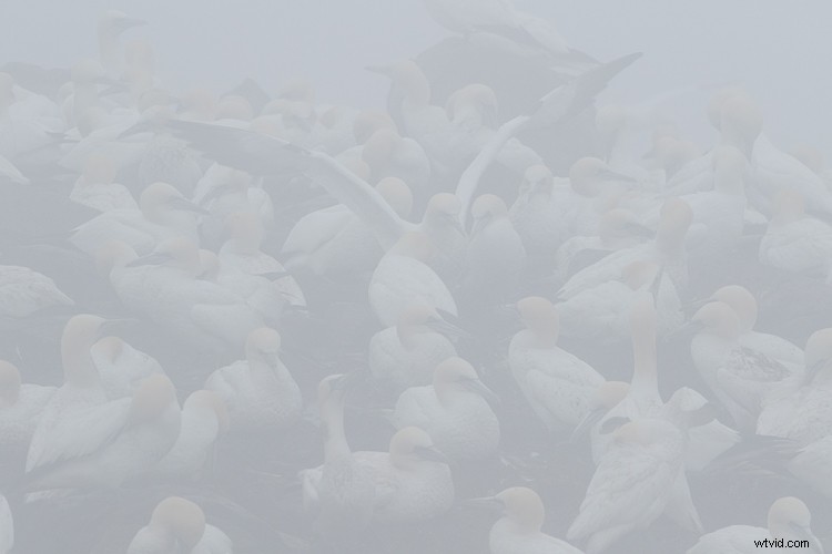 Expert Tips for Overcoming 4 Tricky Photography Challenges: What Would You Do?