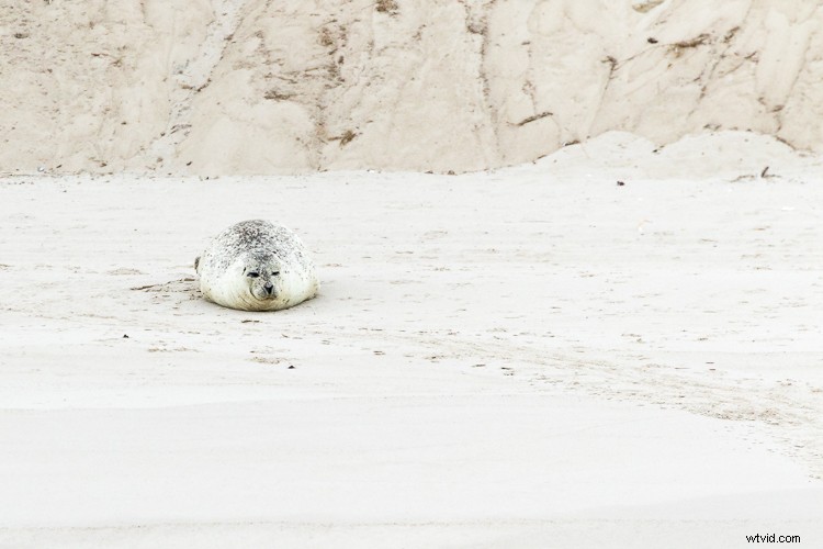 Expert Tips for Overcoming 4 Tricky Photography Challenges: What Would You Do?